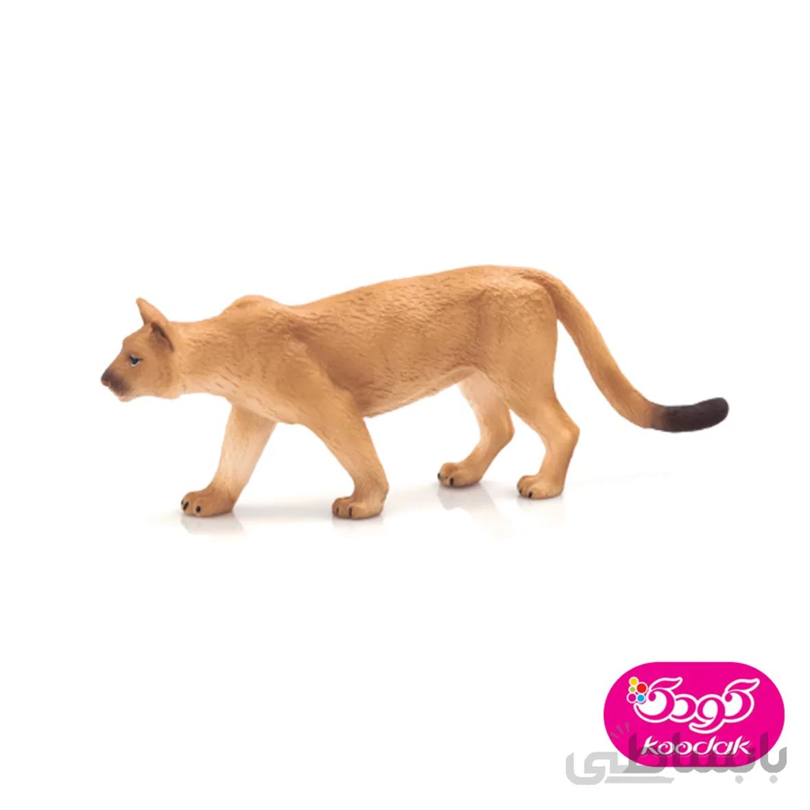 شیر کوهی 387143 – حیوانات موجو