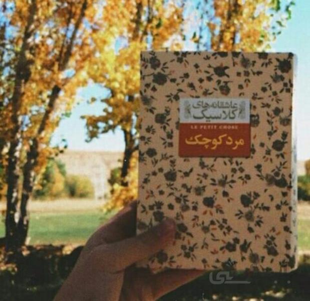 کتاب مرد کوچک اثر آلفونس دوده (عاشقانه های کلاسیک)