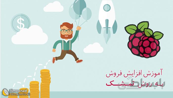 آموزش افزایش فروش به روش تمشک - مناسب خدمات و محصولات