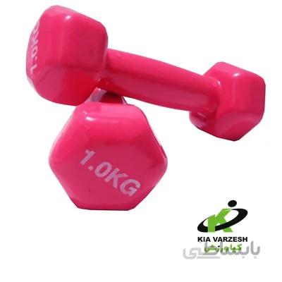 دمبل ۱ کیلو جفتی - مشخصات، قیمت و خرید ا Dumbbell 1 kg pair