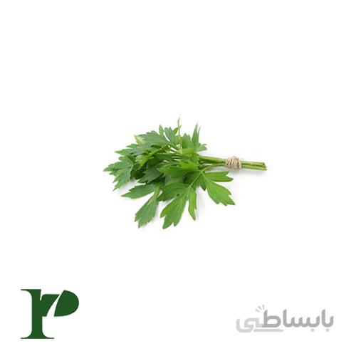 انجدان بستهی 50 گرمی