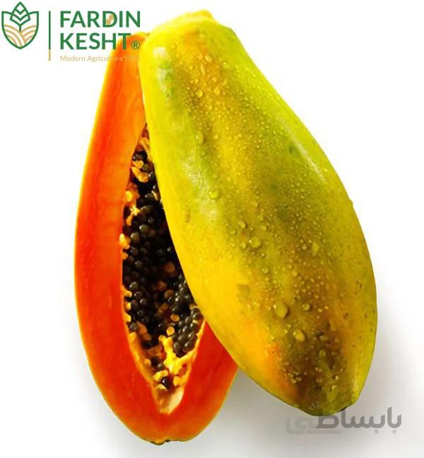 بذر پاپایا پشن رد هیبرید فوق پربار آمریکایی بسته 3عددی