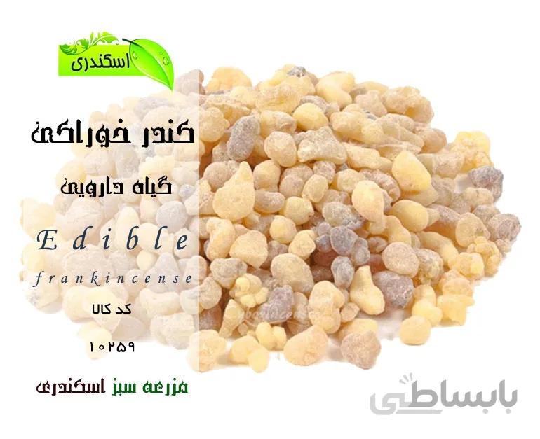 کندر خوراکی نر اصلی