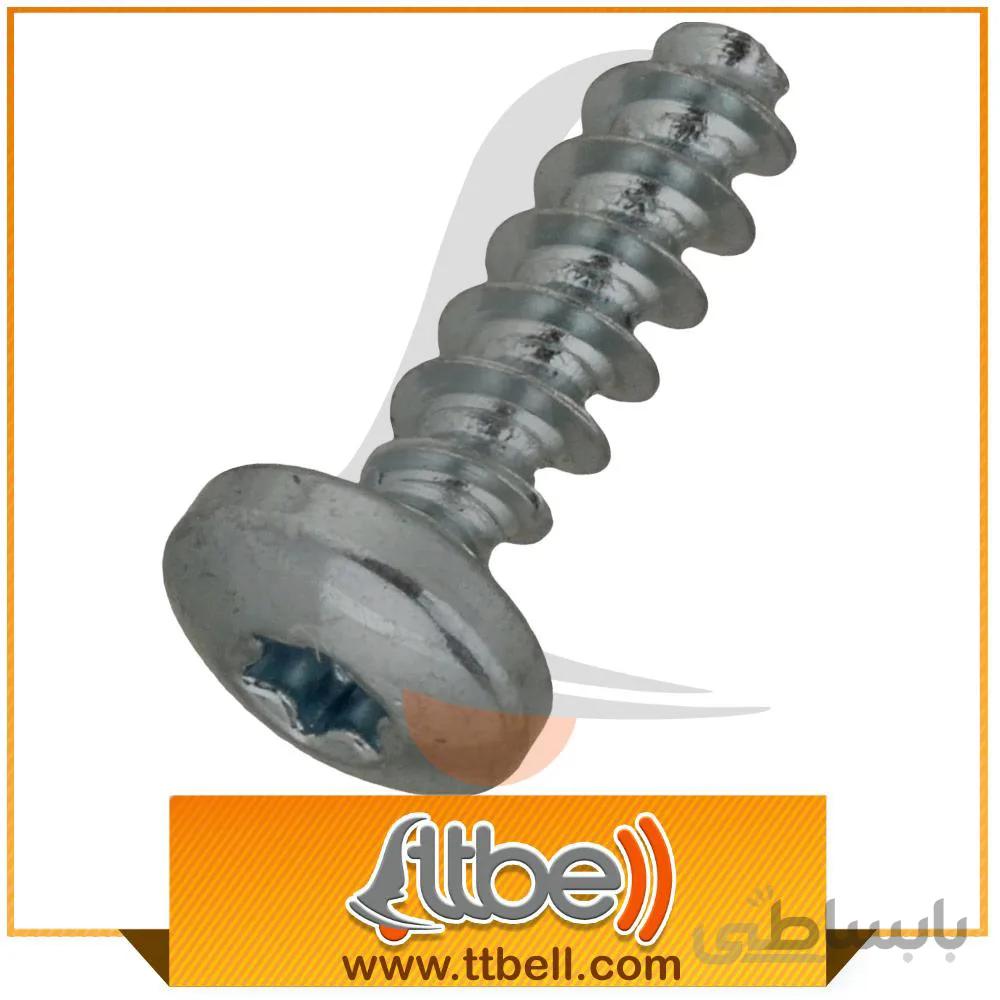 پیچ اوریجینال جاروبرقی فیلیپس (10 عددی)