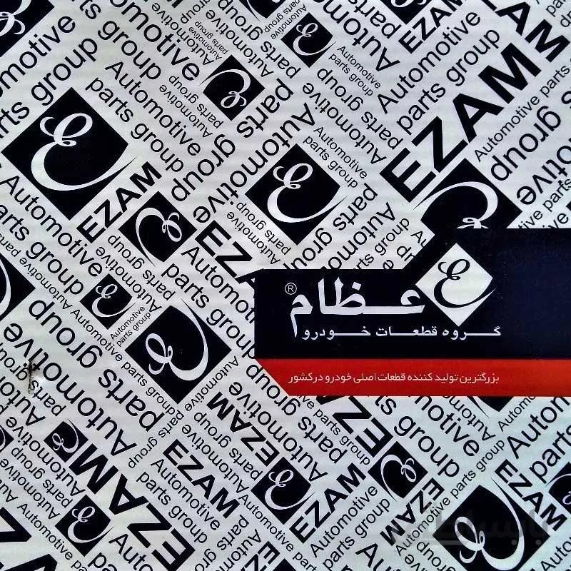 استارت پژو 405