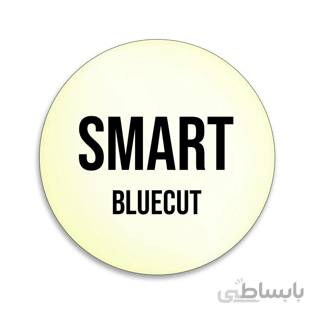 عدسی طبی بلوکات برند SMART