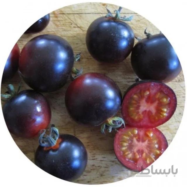بذر گوجه چری مشکی درختی بسته ۱۵ عددی