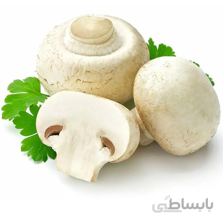 قارچ