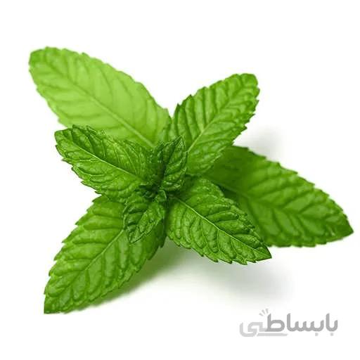 بذر نعنا تند مراکشی