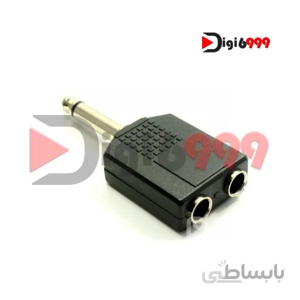 فیش دو به یک میکروفن