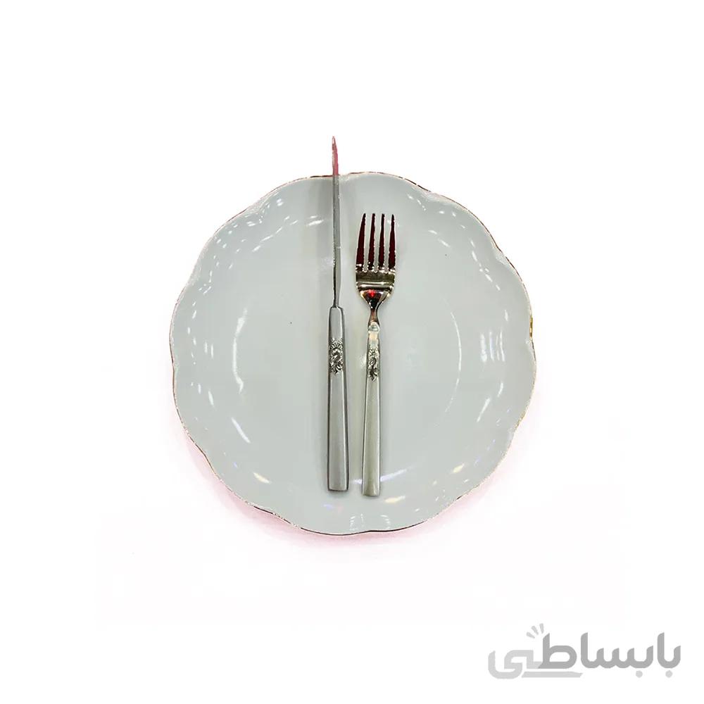 سرویس کارد و چنگاه میوه انجلا نقره ای