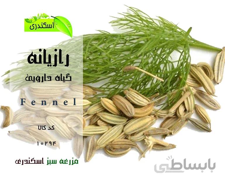 گیاه رازیانه