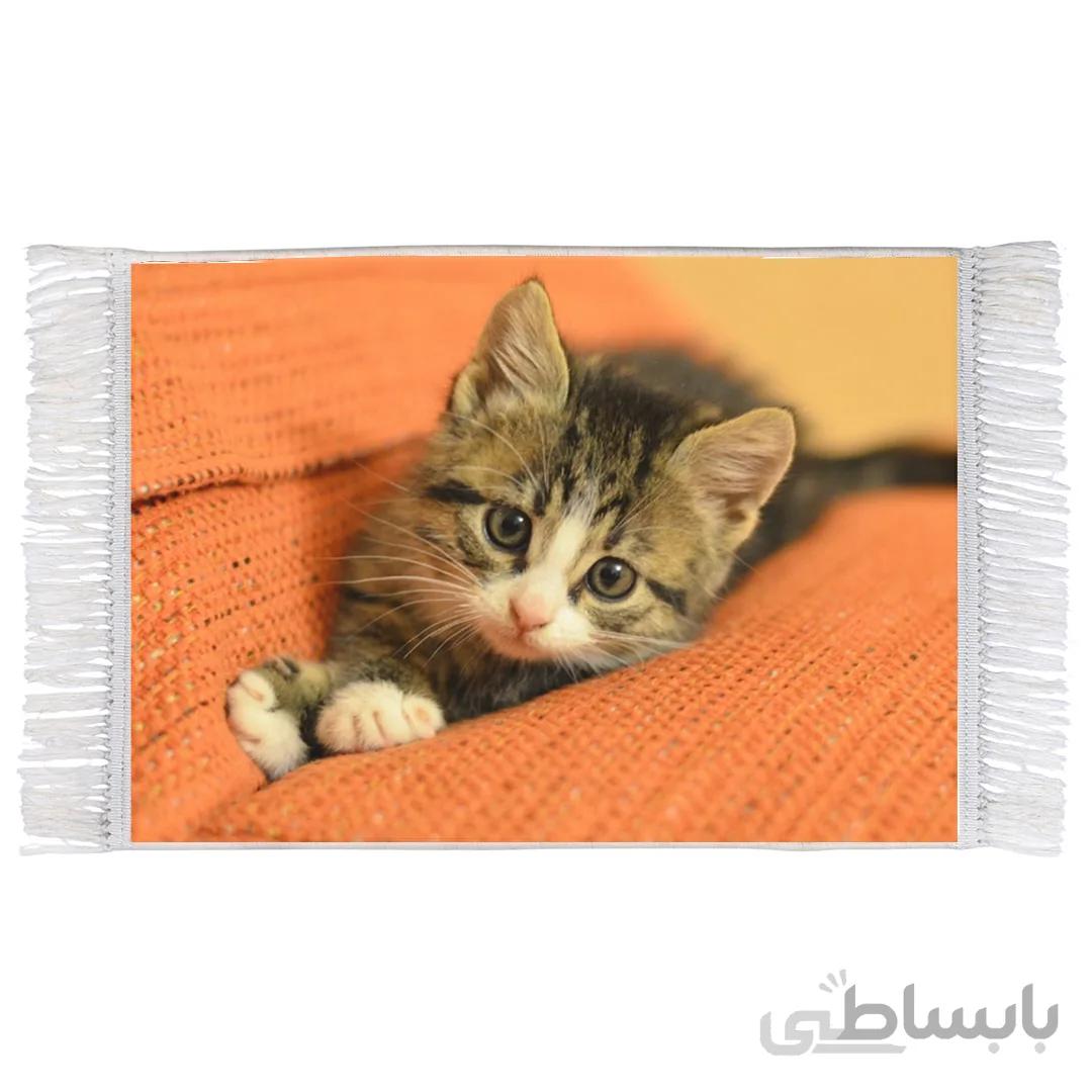 فرش ماشینی طرح گربه ملوس کد 50013