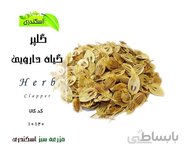 گلپر کد 819399