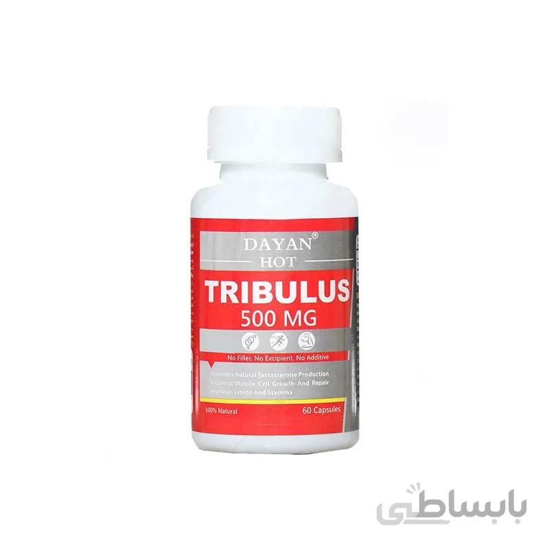 کپسول تریبولوس 500 دایان هات 60 عددی | افزایش سطح تستوسترون و افزایش میل جنسی