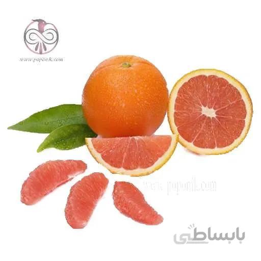نهال پرتقال خونی كاراكارا