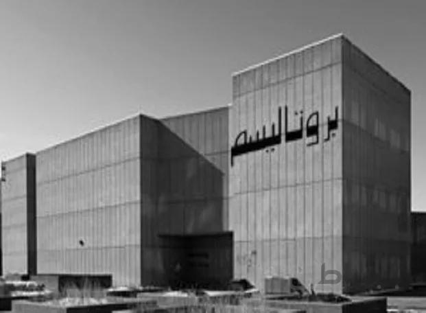پروژه پاروپوینت بروتالیسم ( خشونت گرایی )