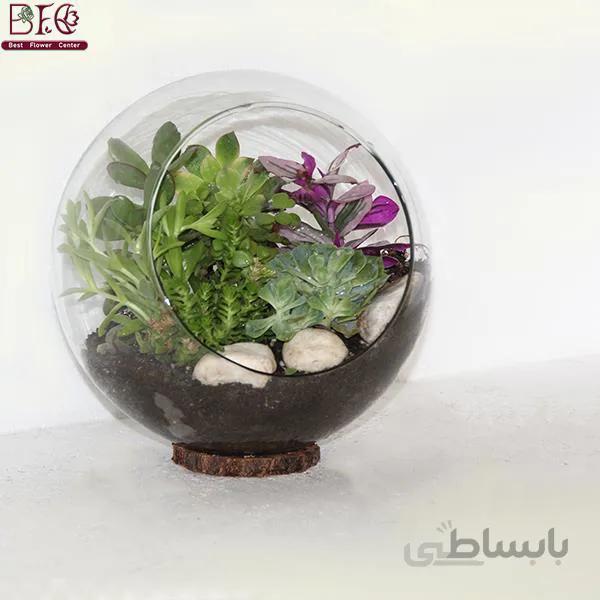 تراریوم کد 1079525