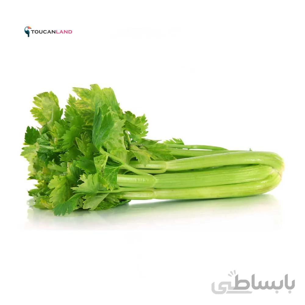بذر کرفس کد 331292