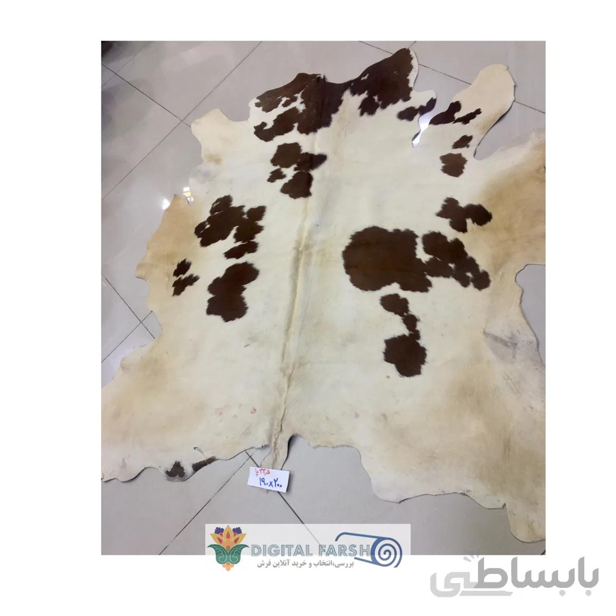 پوست طبیعی گاو تزنیِِینی 33.5 پا ا cow skin