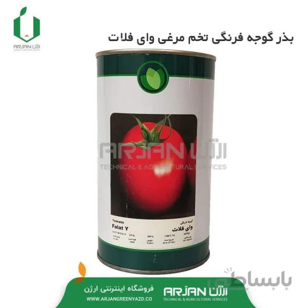 بذر گوجه فرنگی تخم مرغی وای فلات قوطی 500 گرمی