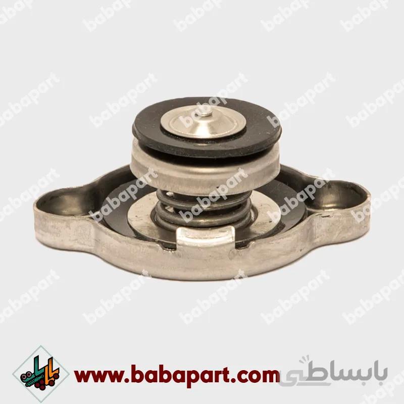 درب رادیاتور چانگان Eado