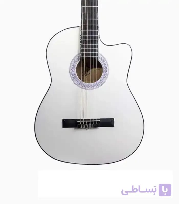 گیتار آراکس جی1