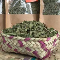 نعنا کوهی