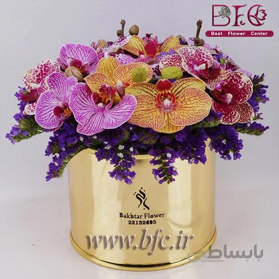باکس طلایی ارکیده