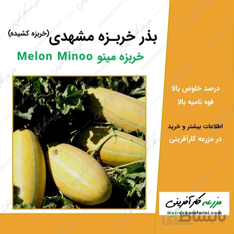 بذر خربزه مشهدی Melon Minoo