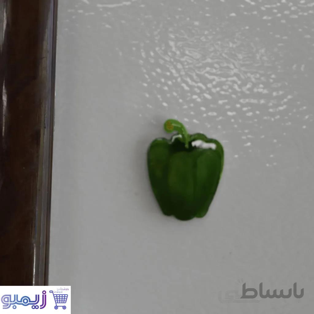 مگنت فلفل دلمه