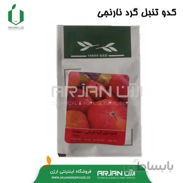 بذر کدو تنبل گرد نارنجی 3 گرمی