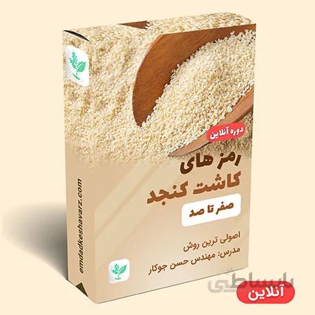 راز و رمزهای کاشت کنجد