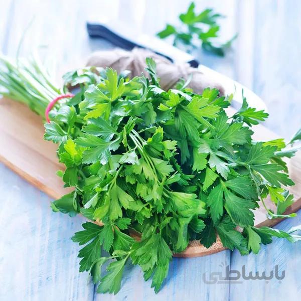 بذر جعفری درجه 1