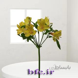 یک شاخه آلسترومریا