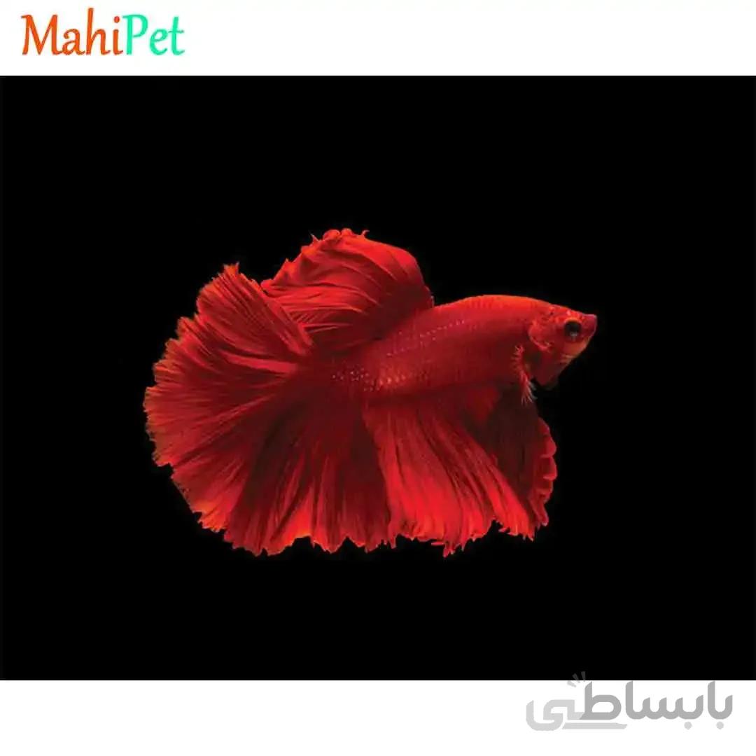 فایتر هافمون 5 تا 7 CM