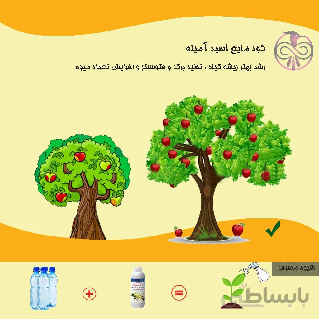 کود مایع اسید آمینه