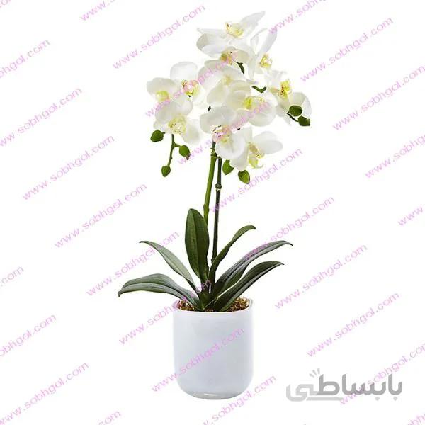 گل ارکیده دو شاخه ORK03