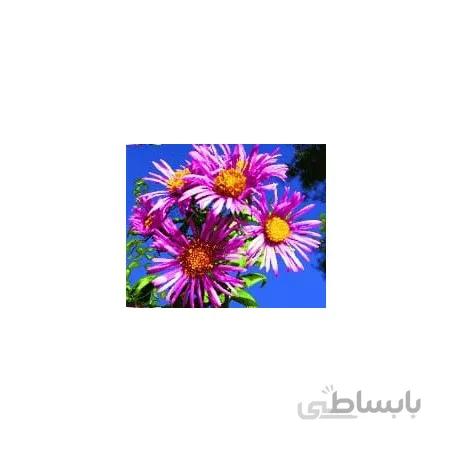 نخ و نقشه آموزشی تابلو فرش کد 51