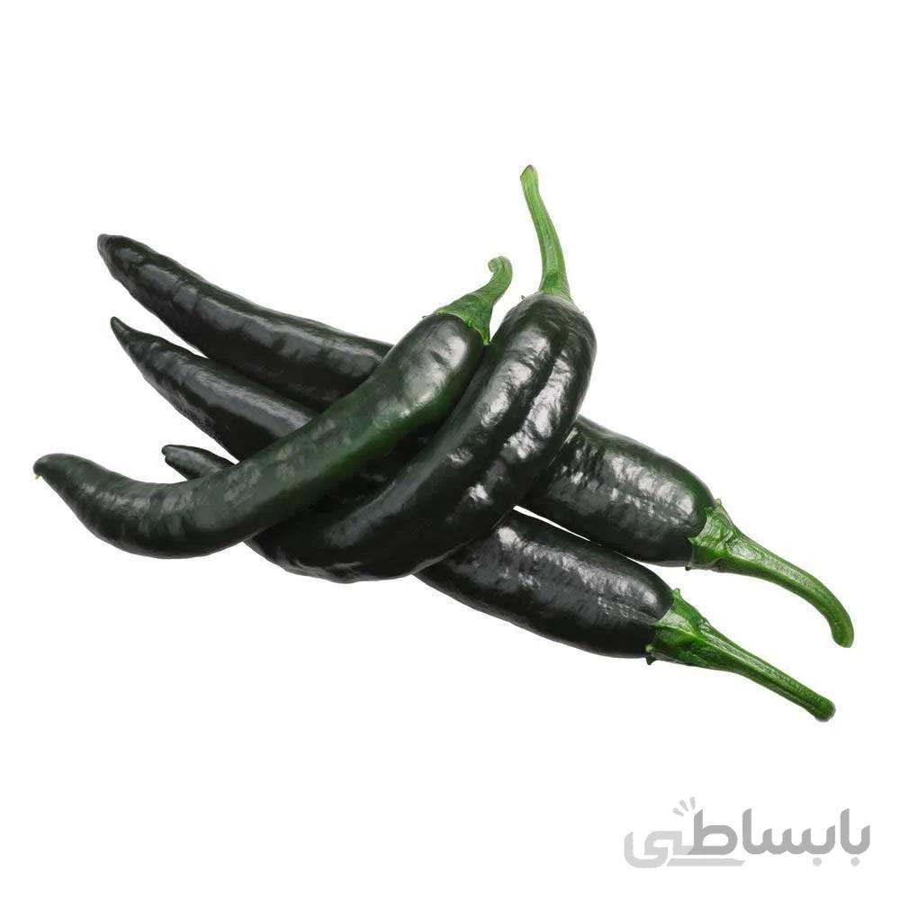 بذر فلفل تند قلمی مشکی (پاسیلا)