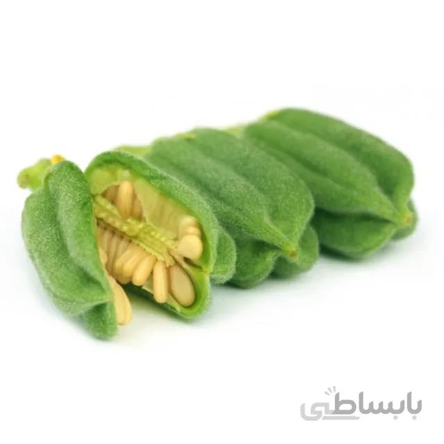 بذر کنجد بسته ۱۰ گرمی