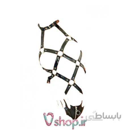 بادی دیسکویی