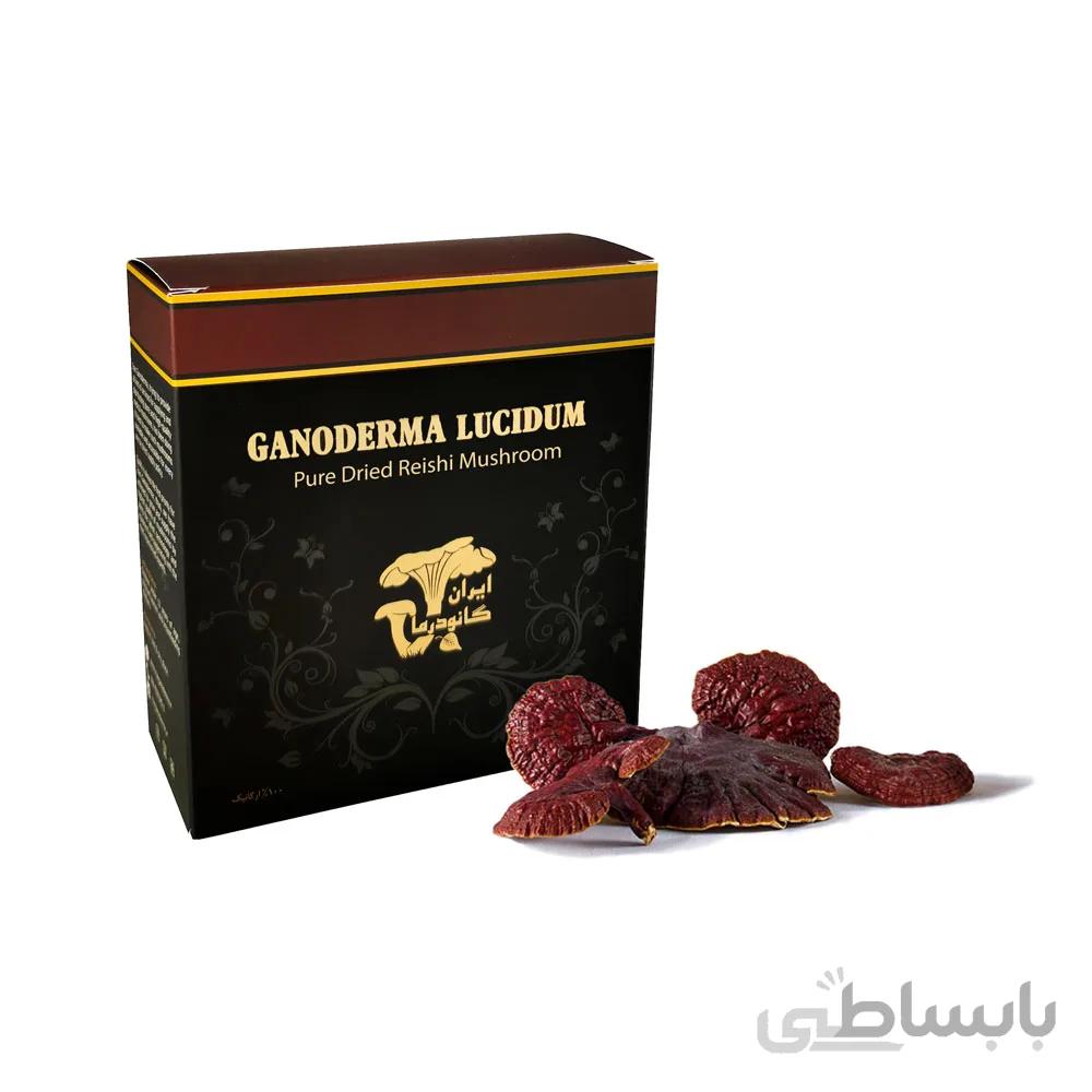 قارچ گانودرما سالم – بسته ۱۰۰ گرمی