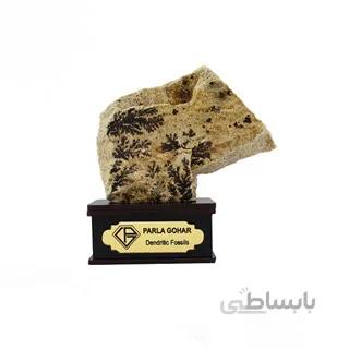 سنگ شجر فسیلی (دندریتی ) کد 2357 ا قیمت به شرط خرید تیمی