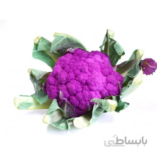 بذر گل کلم بنفش