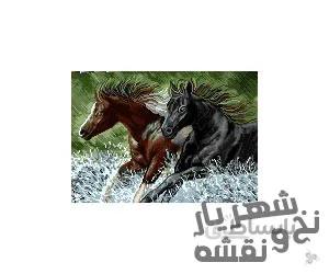 نخ و نقشه تابلو فرش طرح آموزشی اسب کد 99151