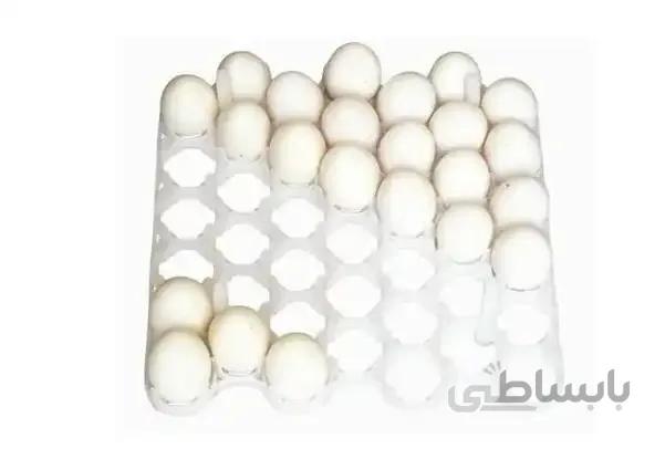 شانه تخم مرغ 42 عددی دستگاه جوجه کشی