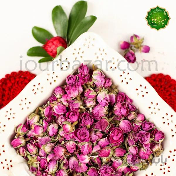 غنچه گل محمدی
