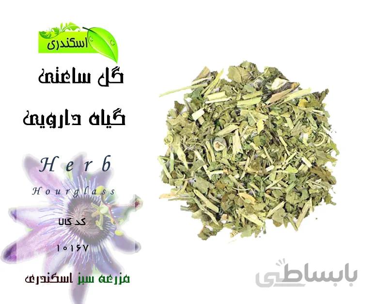 گیاه گل ساعتی