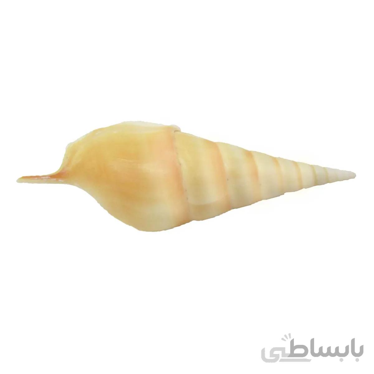حلزون تزیینی آکواریوم مدل Nine Circle